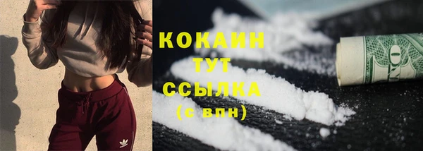 хмурый Инсар