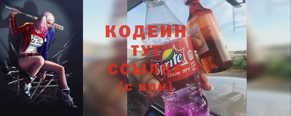 2c-b Инта
