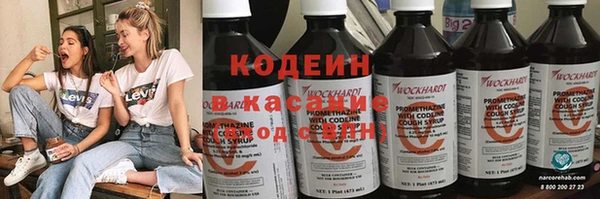 хмурый Инсар